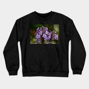 FLOWER Crewneck Sweatshirt